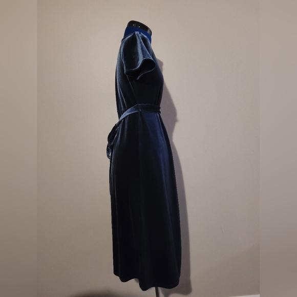 GAP Maternity - Blue Velvet Dress - Picture 4 of 6